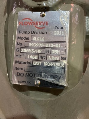 Flowserve pump & ABB motor - 2
