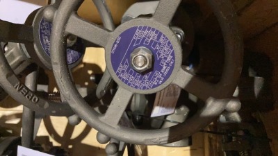 Box of Bonney Forge globe valves - 5